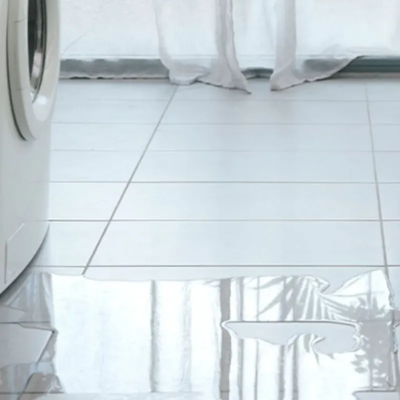 Appliance Leak Cleanup in Terrell County, GA