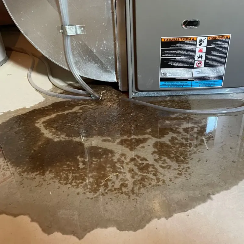 Pipe Burst and Leak Restoration in Terrell County, GA