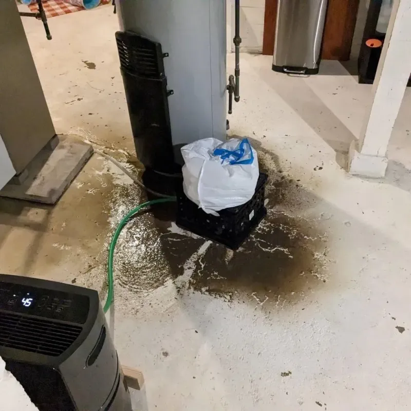 Sewage Backup Cleanup Service in Terrell County, GA